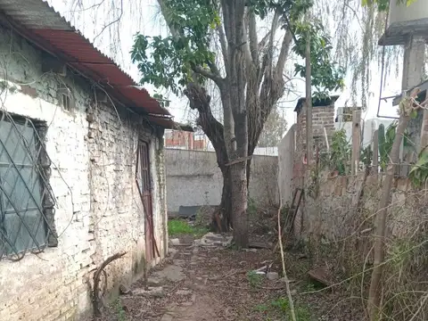 CELESTINO VIDAL 2400