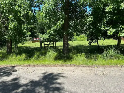 Patricias Mendocinas al 100