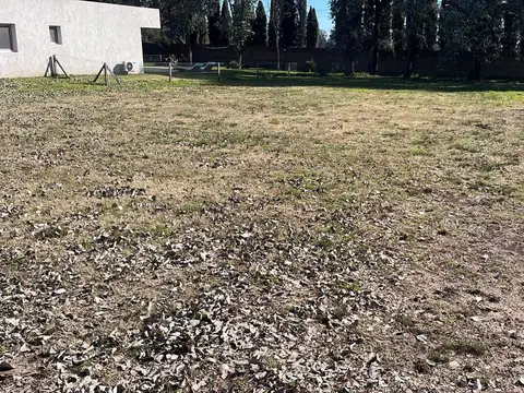 Lomas de san antonio