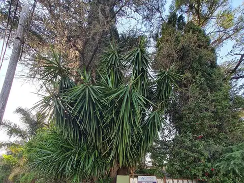 Terreno en Venta de 931,0 m2