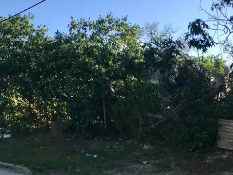 Terreno en Venta 28  mts Fondo