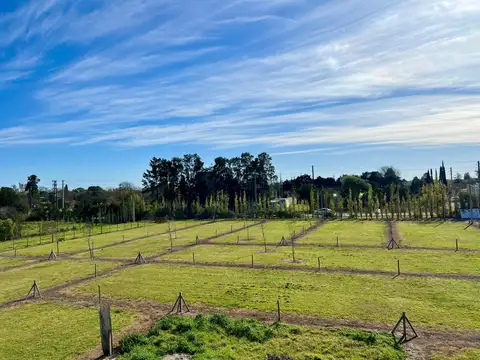 Terreno en Venta de 350,0 m2