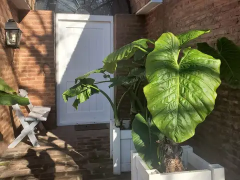 Casa en Alquiler de 4 dormitorios