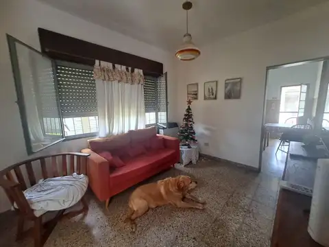 VENTA 2 CASAS 1 LOCAL ESCOBAR CENTRO PARRILLA PILETA JARDIN QUINCHO