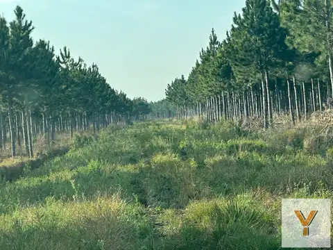 Campo en venta -  - 4330000mts - azul