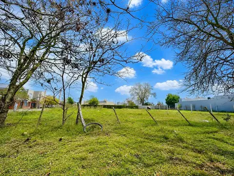 Lote en  venta cañuelas centro