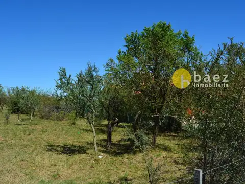 Terreno en Venta de 1000,0 m2