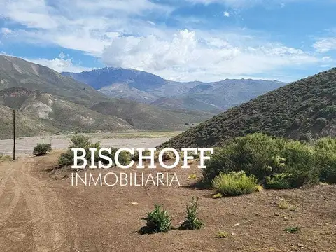 Ruta Prov. 222 , Km. 32, Valle de Los Molles , Malargue, Pcia. Mendoza , Argentina.-