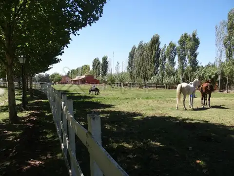 Ruta 25 km 7,5 100