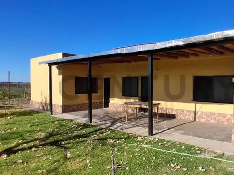 FINCA DE 31 HA CON CAÑON Y MALLA ANTIGRANIZO EN SAN MARTIN, MENDOZA