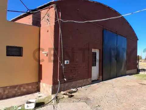 FINCA DE 31 HA CON CAÑON Y MALLA ANTIGRANIZO EN SAN MARTIN, MENDOZA