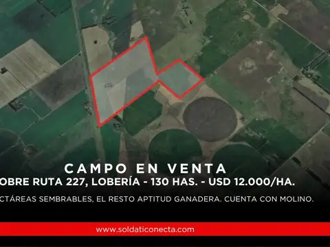 Campo de 130 hectáreas mixtas en Lobería