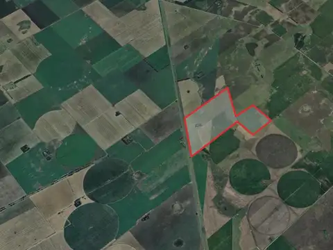 130 ha - Mixtas - Loberia