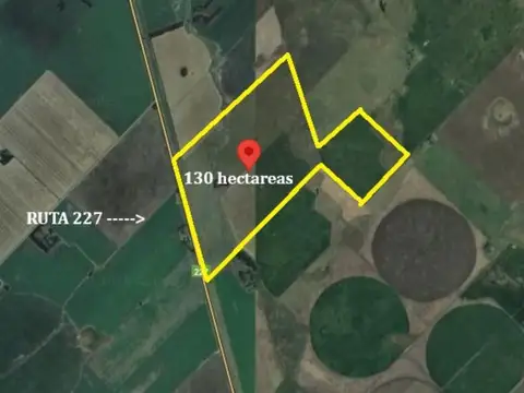 130 ha - Mixtas - Loberia