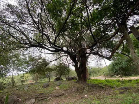 Terreno en Venta de 380,0 m2