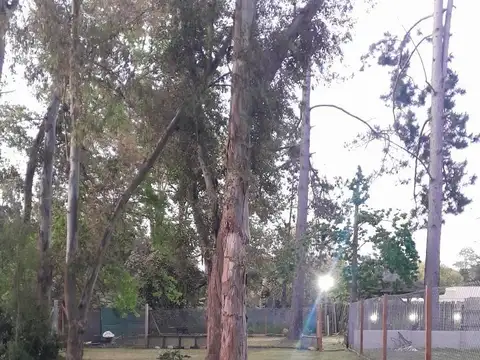 Terreno en Venta 12  mts Frente
