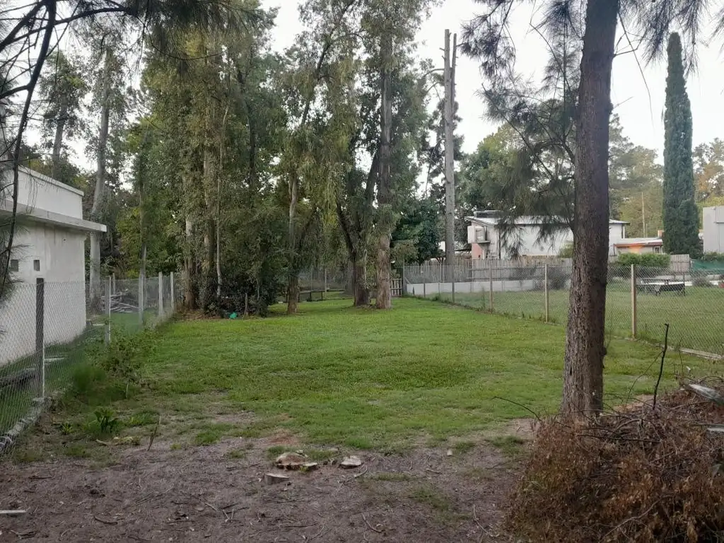 Pinares del Pato - 619 e/ 538 y 539