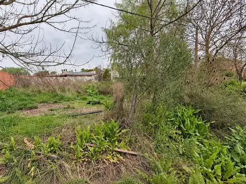 Terreno en Venta 31  mts Fondo