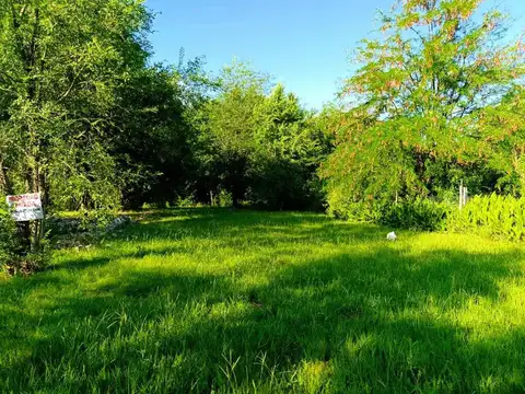 VENTA TERRENO PARQUE SIQUIMAN 1750 M2