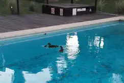Áreas comunes sum, piscina en Aparts de Pinazo en R. Caamano 1103 en Pilar, Buenos Aires