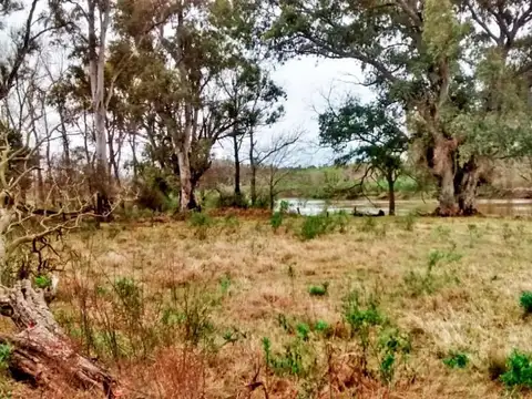 Terreno en Venta de 980,0 m2