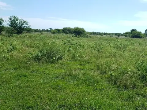 Campo grandioso en Argentina- Formosa- Patiño, Estanislao Del Campo