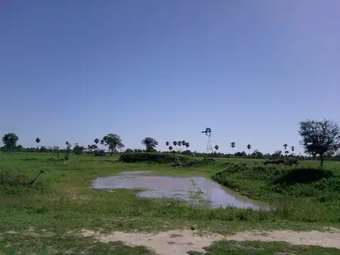 Campo grandioso en Argentina- Formosa- Patiño, Estanislao Del Campo