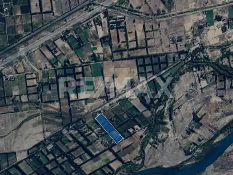 VENTA CHACRA 5,42 HA - SENILLOSA