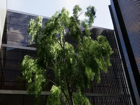 Avenida Jorge Newbery 6800