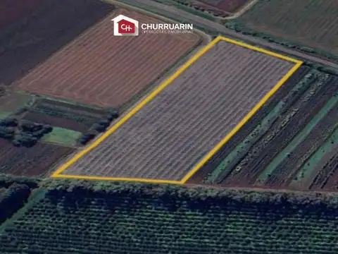 Campo en venta 3 has en San Pedro