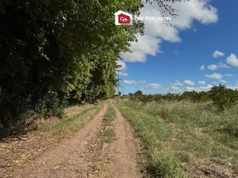 Campo en venta 3 has en San Pedro - Maxiconsumo