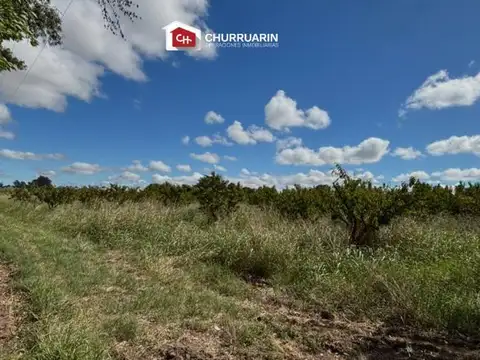 Campo en venta 3 has en San Pedro