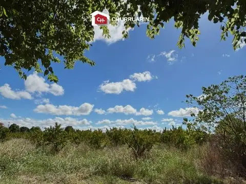 Campo en venta 3 has en San Pedro