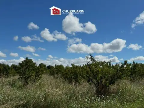 Campo en venta 3 has en San Pedro - Maxiconsumo