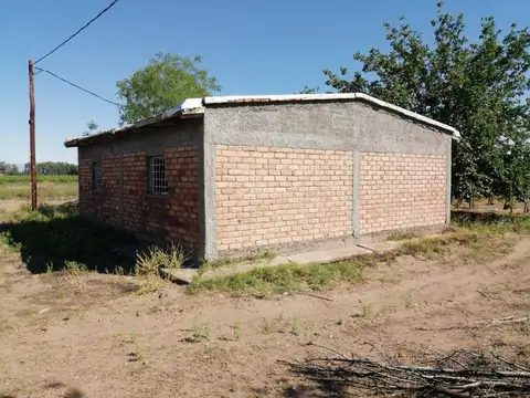 finca productiva en venta 18 has en San Martín