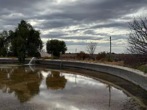 finca productiva en venta 18 has en San Martín