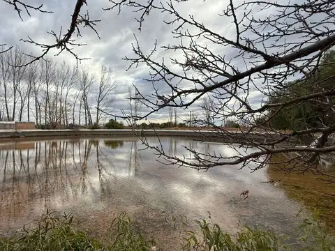 finca productiva en venta 18 has en San Martín