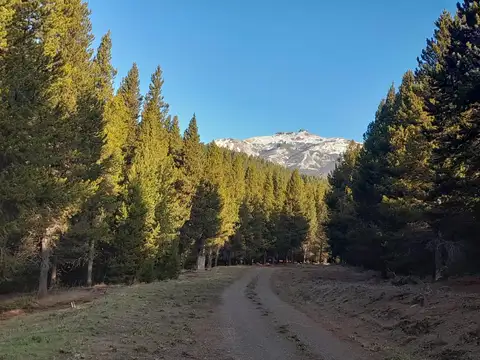 Terreno en Venta en San Martín de los Andes, USD 65.000