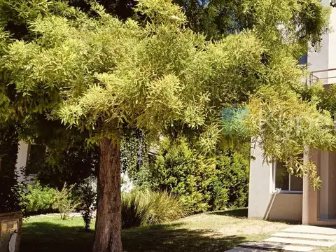 Ayres Plaza alquiler anual a estrenar! 800