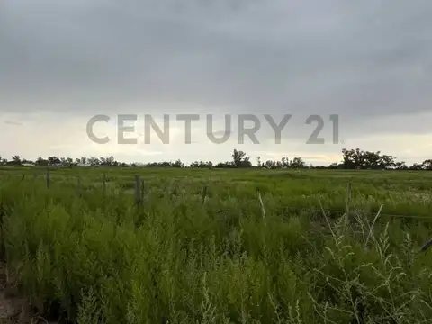 6 Has en VENTA  Autopista Córdoba-Rosario - Villa María