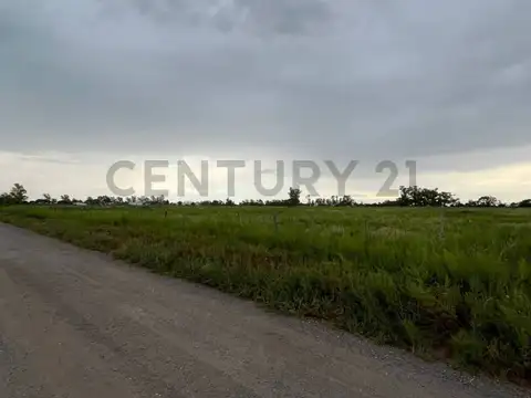 6 Has en VENTA  Autopista Córdoba-Rosario - Villa María