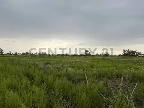 Autopista Cordoba Rosario Km 561