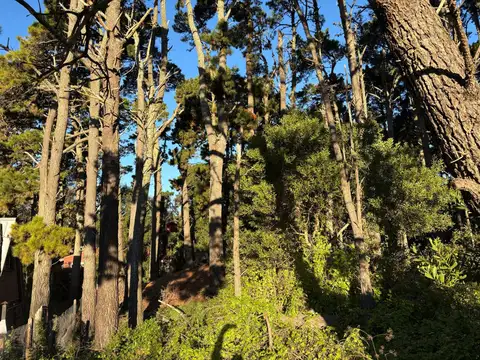 Terreno en Venta de 275,0 m2