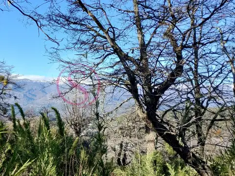Terreno Lote  en Venta en Kaleuche, San Martin de los Andes, Patagonia
