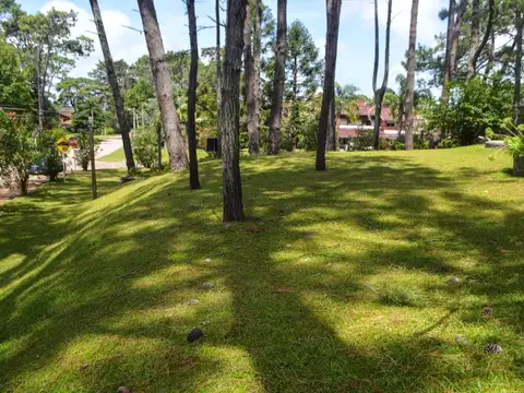 Terreno en Venta en Punta del Este, USD 400.000