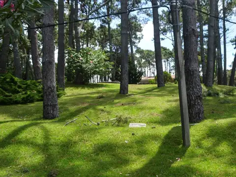 Terreno - Venta - Uruguay, PLAYA BRAVA PUNTA DEL ESTE