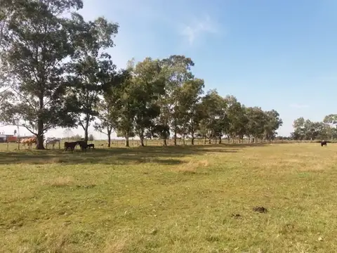 VENTA LOTE FINCAS DON OCTAVIO FLORENCIO VARELA