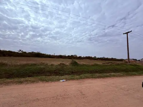 constitucion nacional