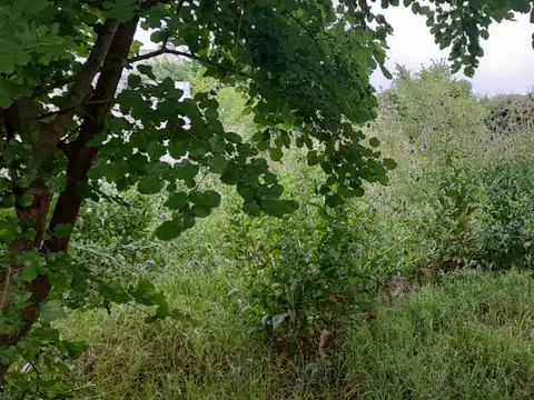 Terreno en Venta 10  mts Frente