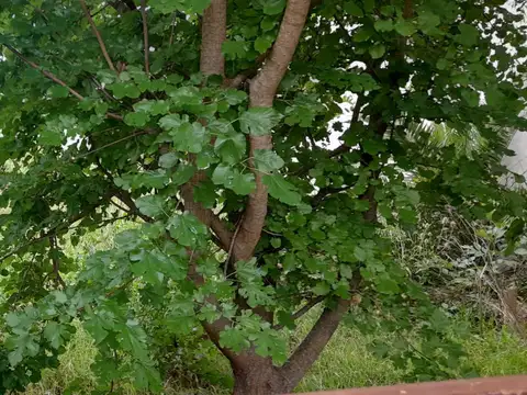 Terreno en Venta de 400,0 m2